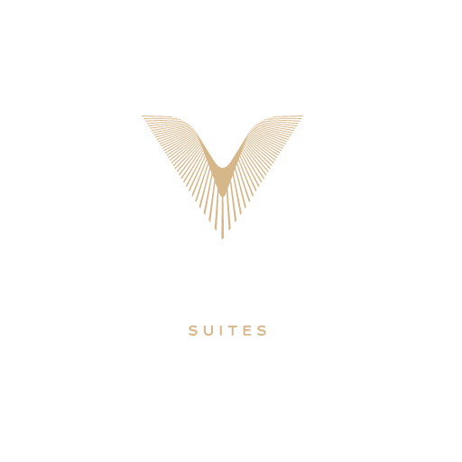 Logo Visionair